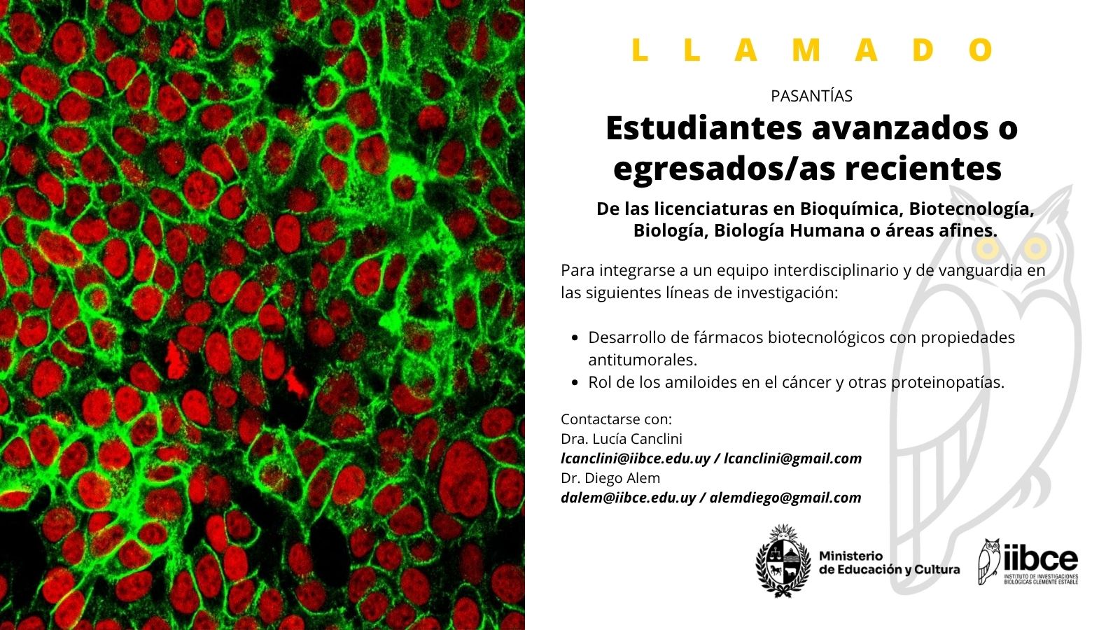 llamado a pasantías en biotecnología
