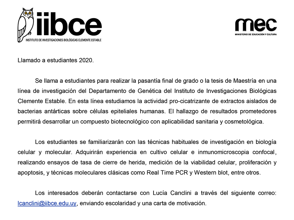 DGEN-IIBCE