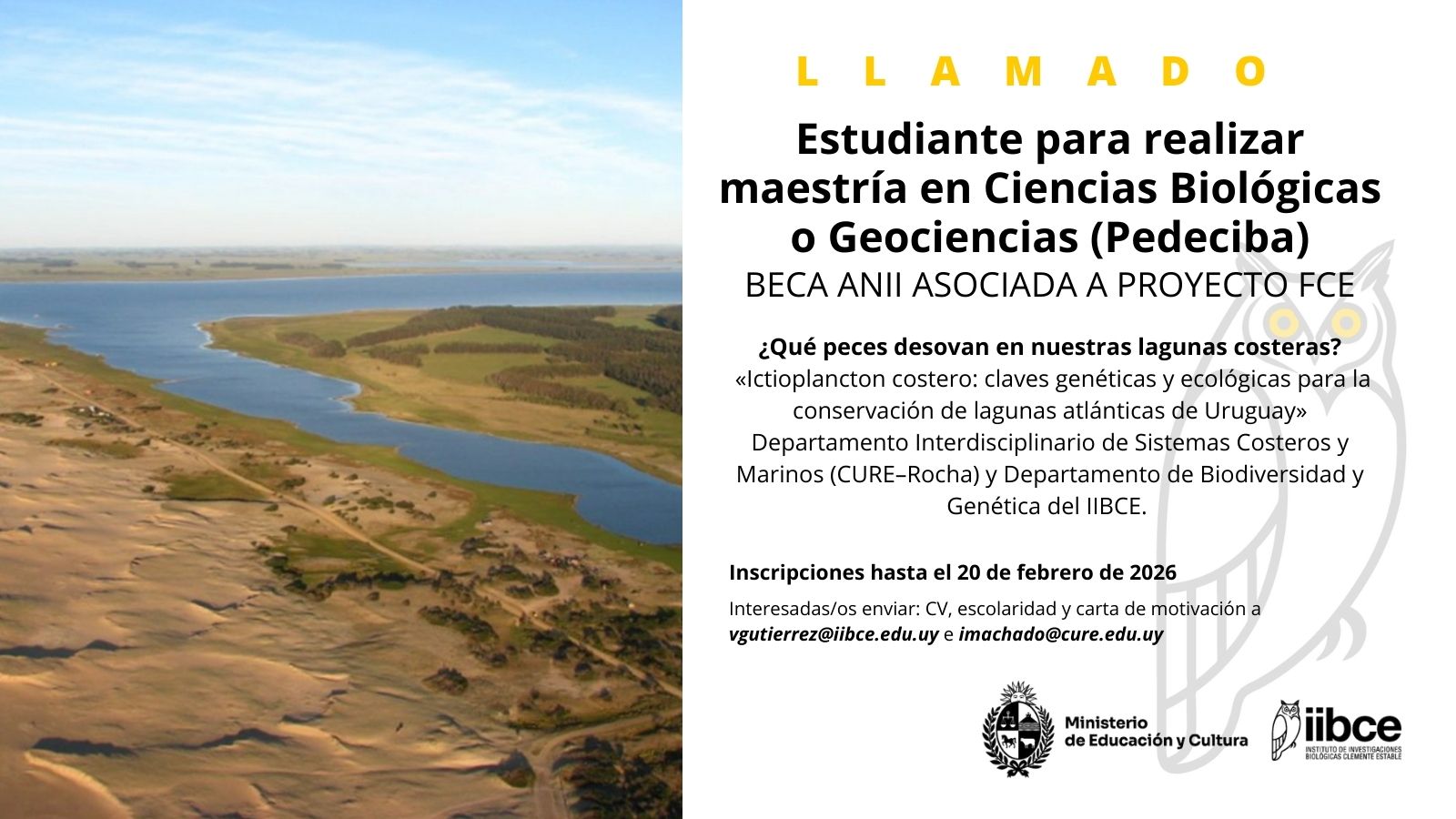 Llamado a estudiante para maestría en Ciencias Biológicaso Geociencias.