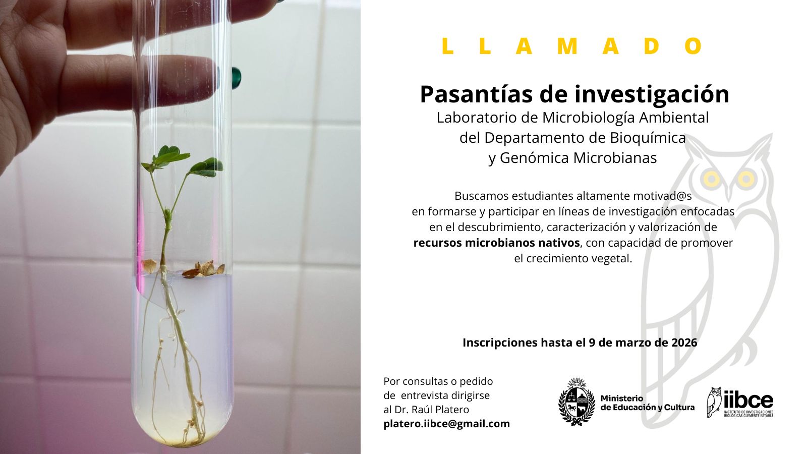 Llamado a Pasantías de investigación