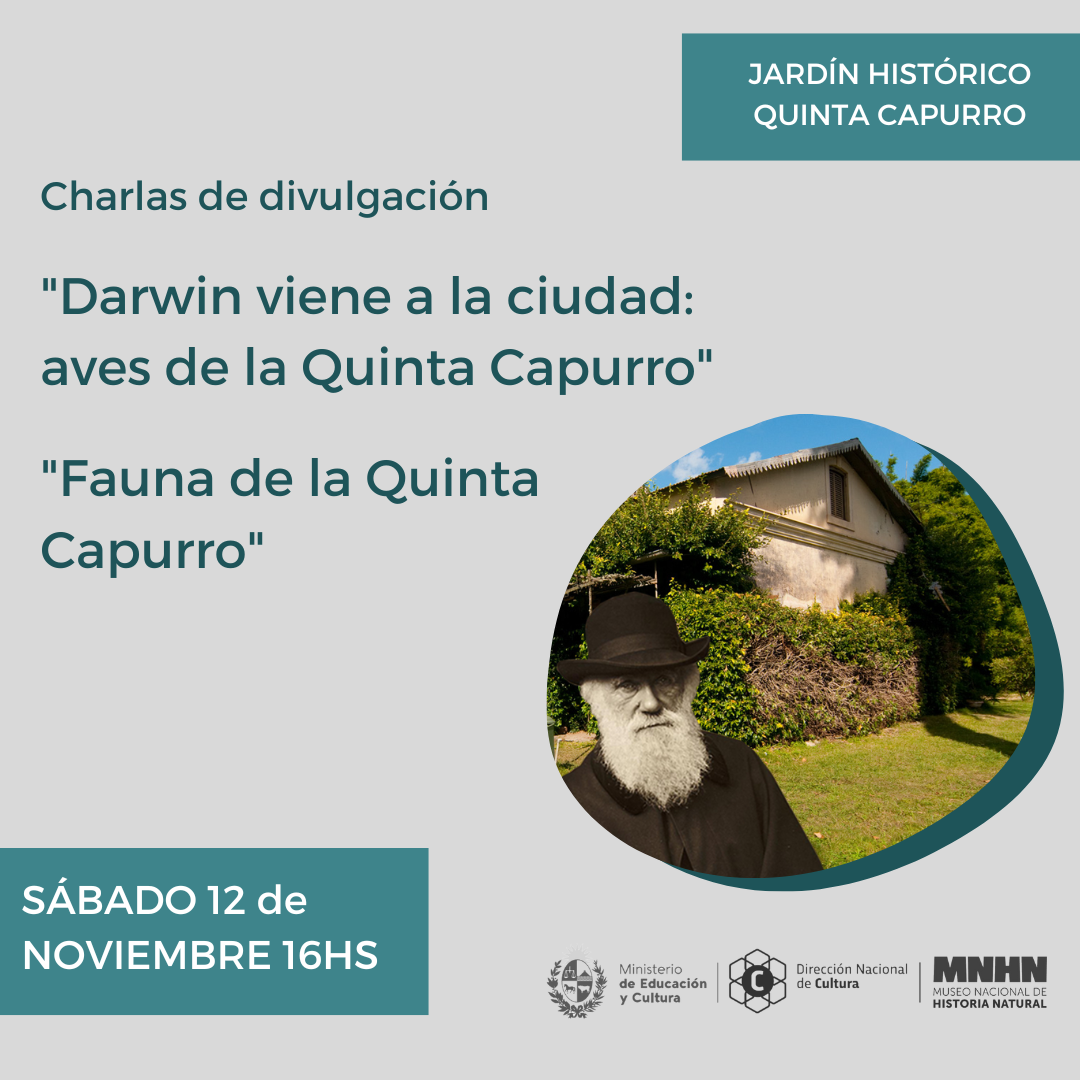 invitación