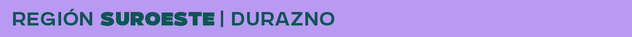 Región Suroeste: Durazno
