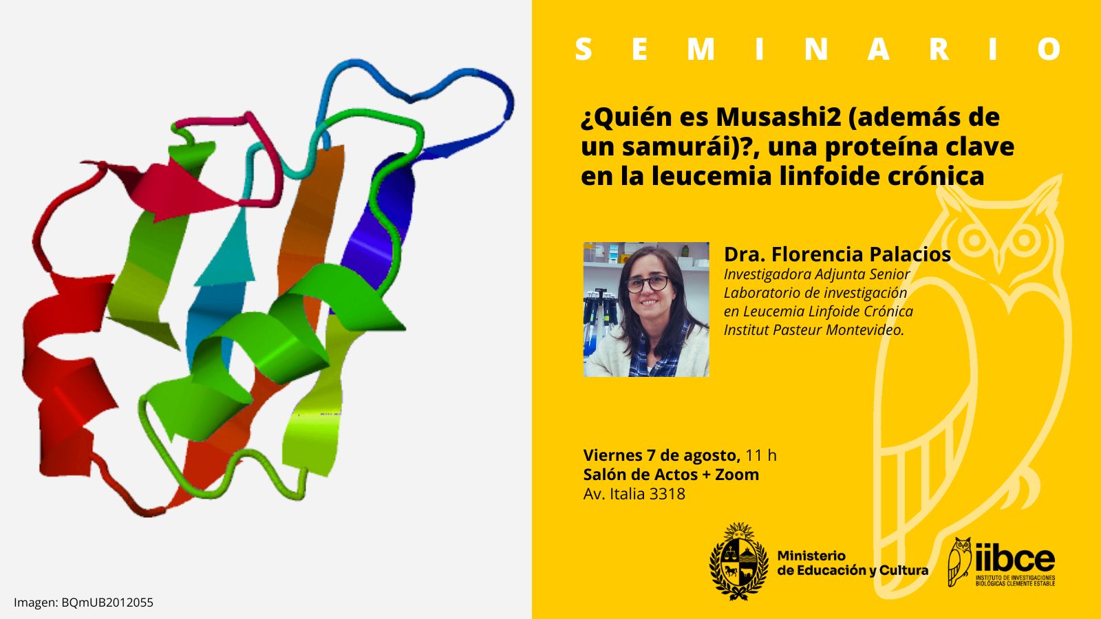 Seminario IIBCE viernes 7/8