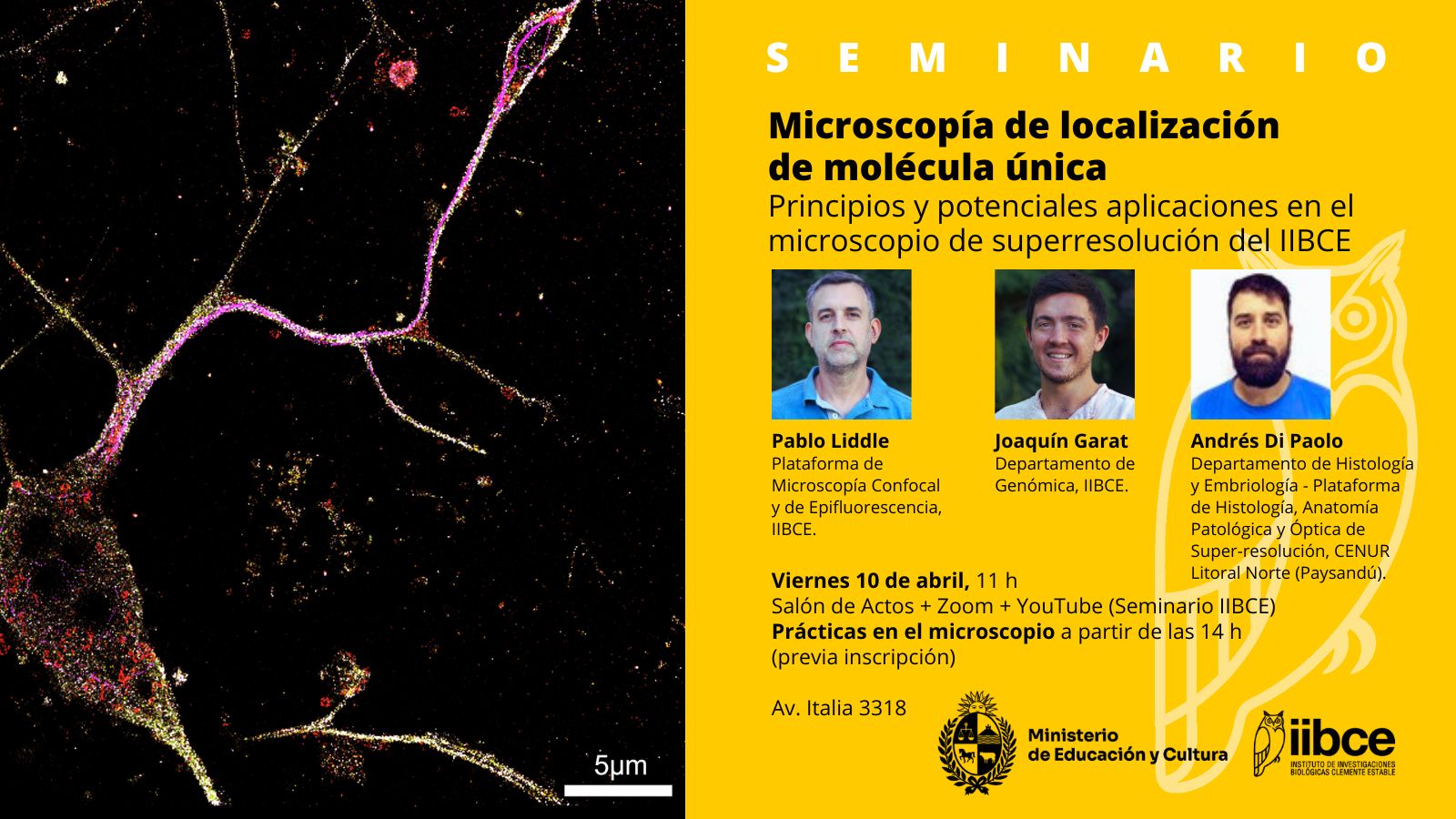 Seminario Microscopía de superresolución - 10/4