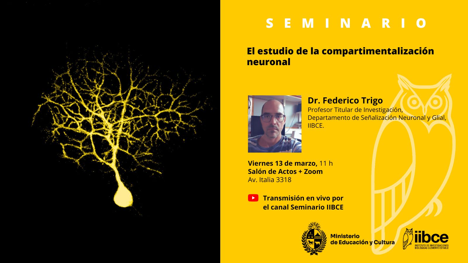 seminario IIBCE 13 03 26