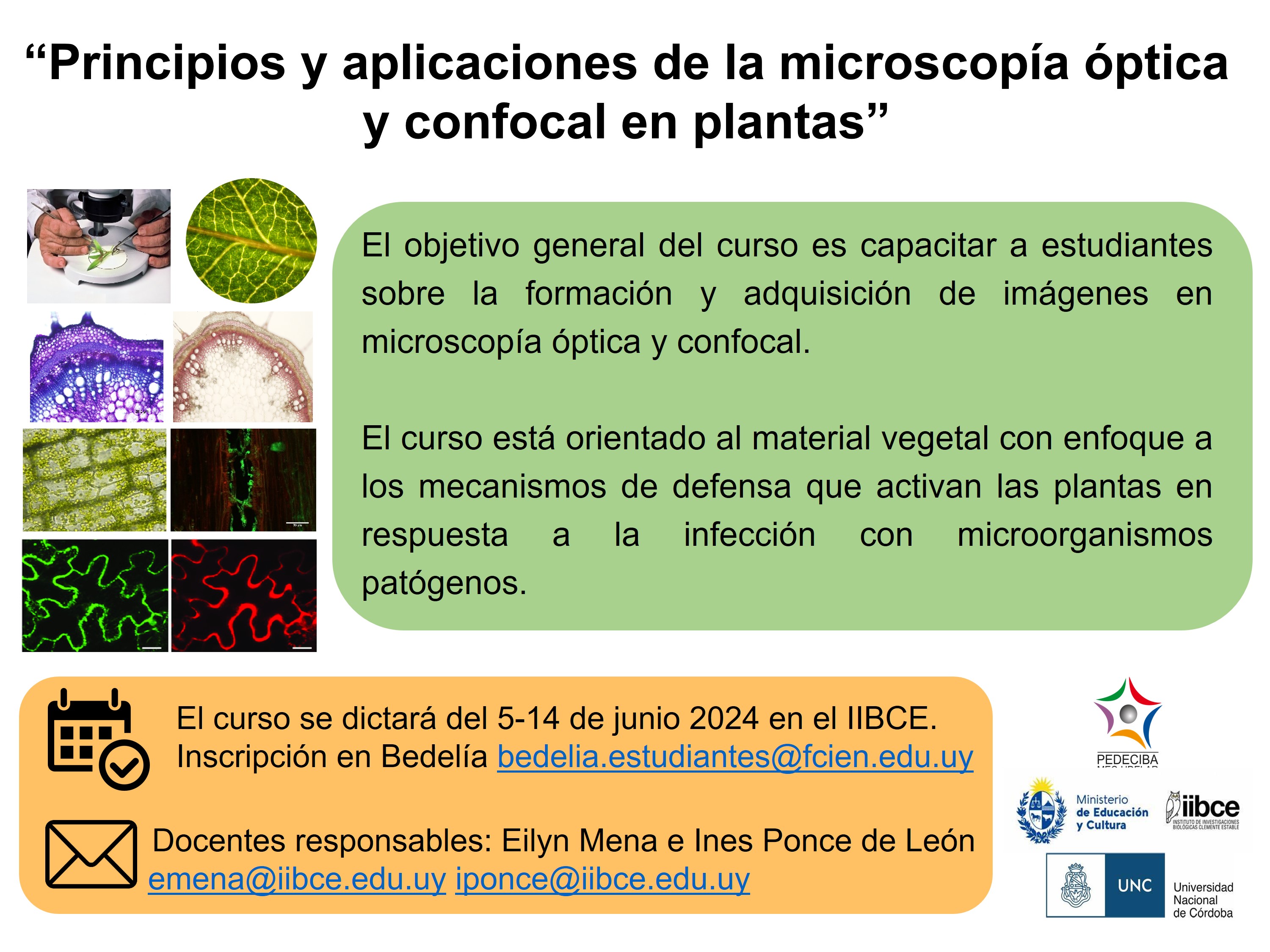 afiche