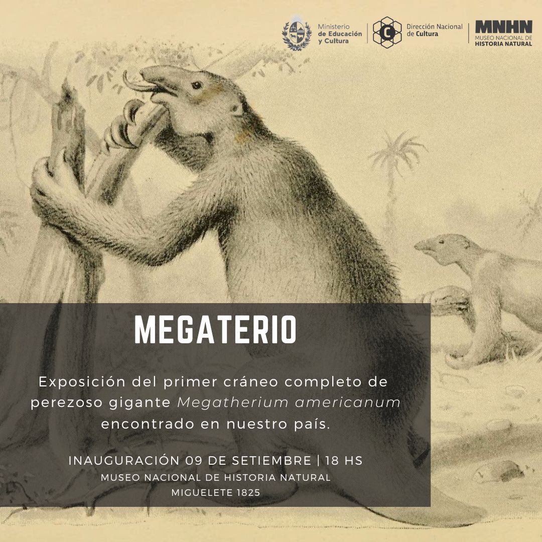 Invitación