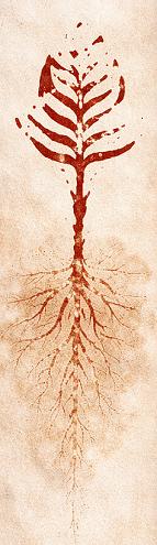 ¿Cómo participar? ingresa aquí