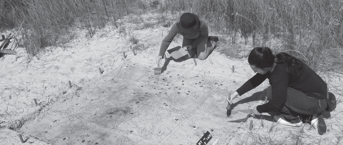 Excavación arqueológica con vestigios de un fogón, fechado con una antigüedad de 3.000 años. Proyecto de investigación arqueológica del sureste de Canelones. Responsable Carina Erchini.