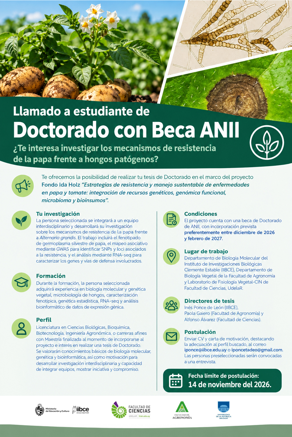 Llamado a Estudiante de Doctorado