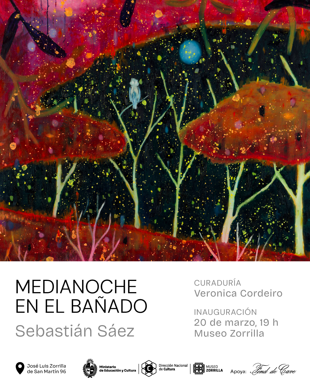 Inauguración de la exposición: «Medianoche en el bañado»