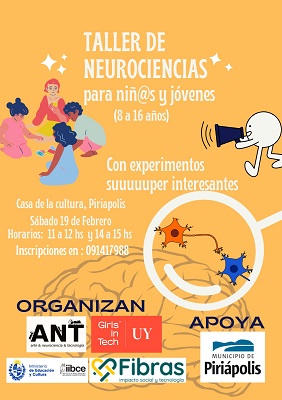 neurociencia taller