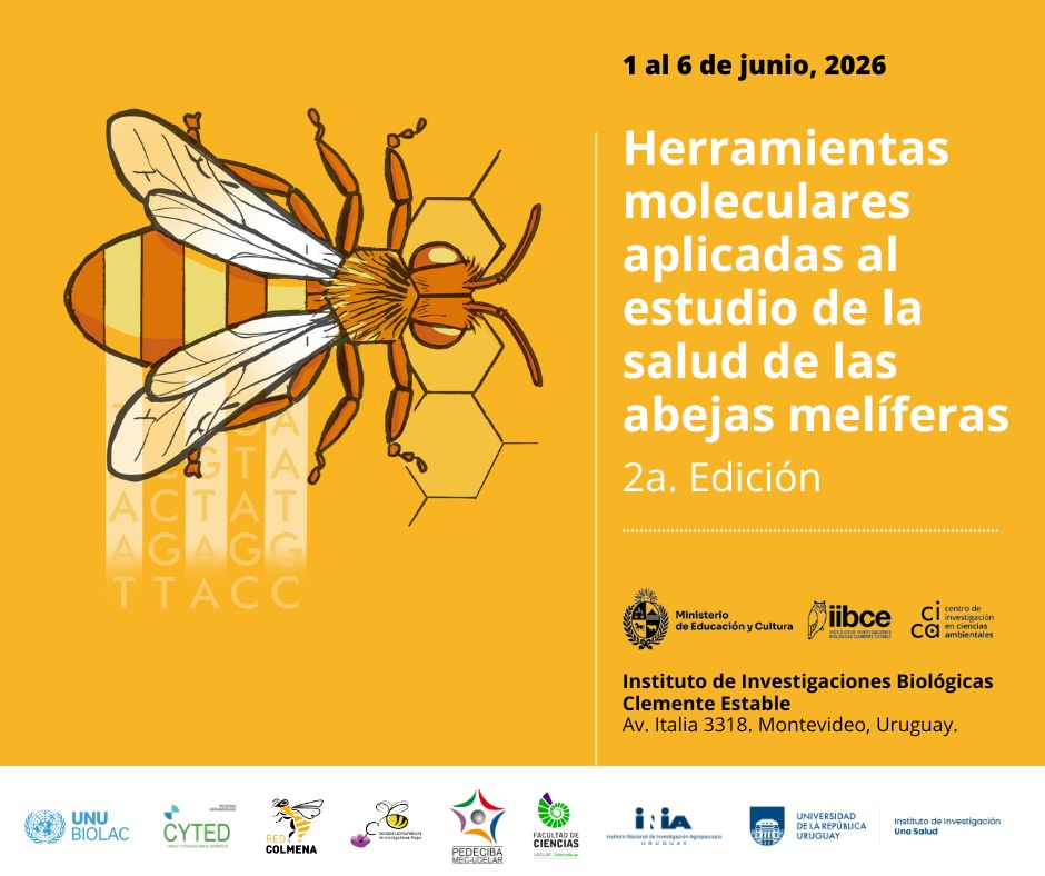 afiche Curso «Herramientas moleculares aplicadas al estudio de la salud de las abejas melíferas»