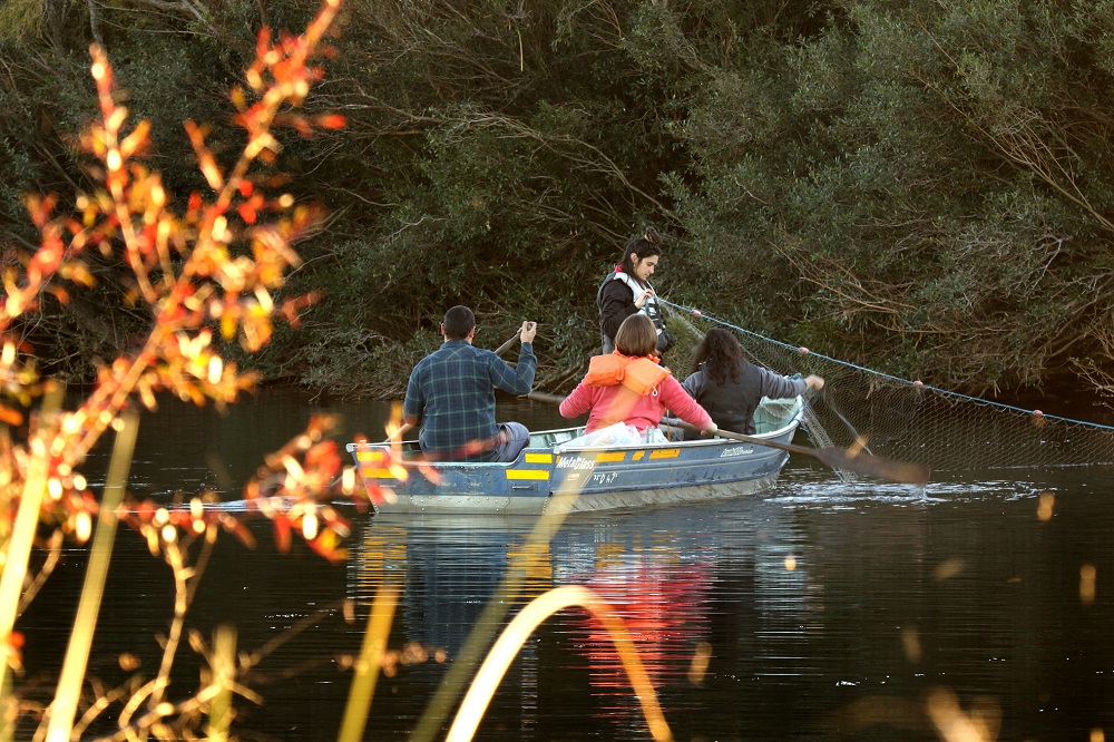 Río Queguay