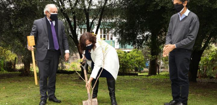Pablo da Silveira, Faye O' Connor y Pablo Zunino plantando el ibirapitá en el Instituto Estable