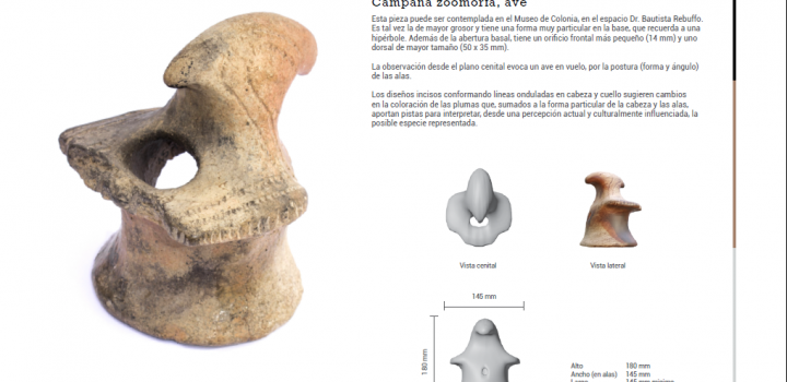 Imagen 9 del catálogo, campana zoomorfa, ave base hipérbole