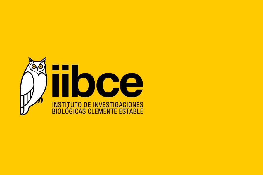 logotipo IIBCE