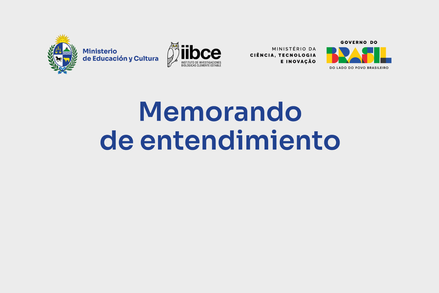 Placa firma de memorando