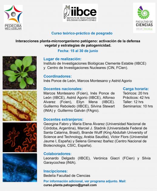 Interacciones planta-microorganismo patógeno: activación de la defensa vegetal y estrategias de pato