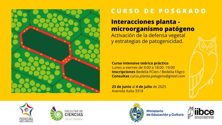 Curso interacciones planta patógeno