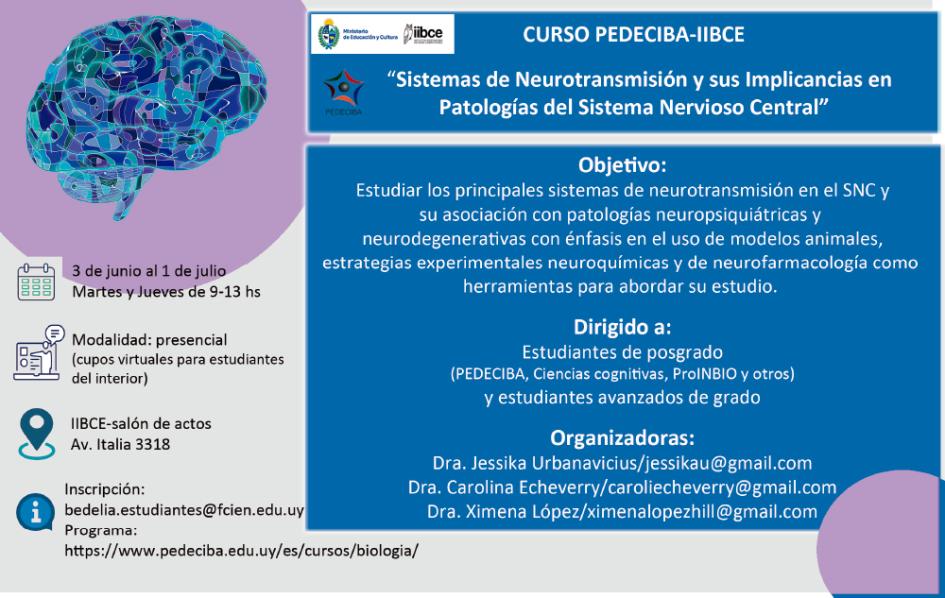 Curso Sistemas de Neurotrasmisión