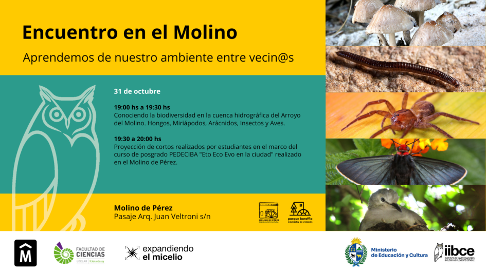 Afiche promocional del encuentro