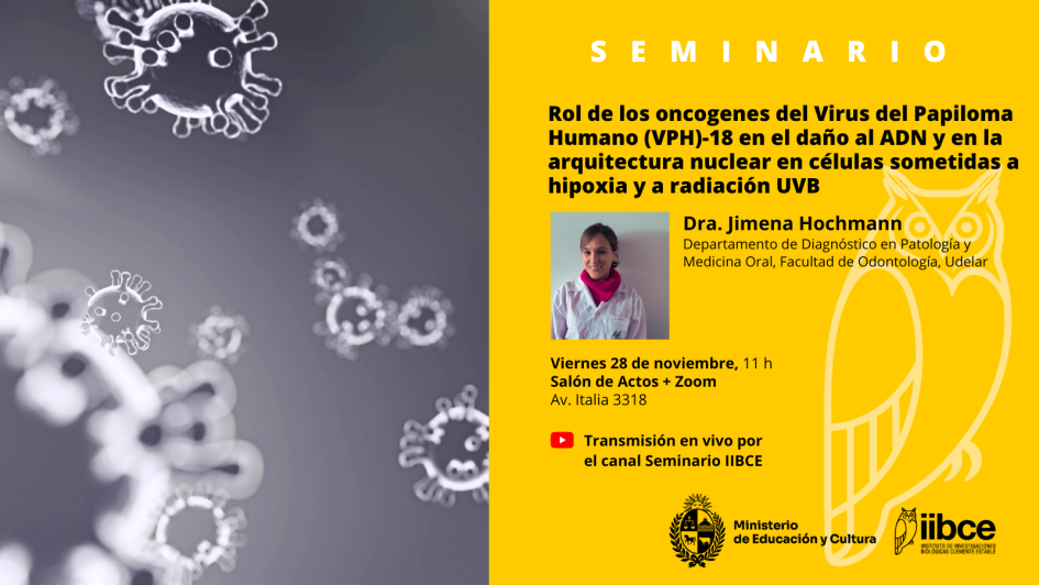 Gráfica promocional