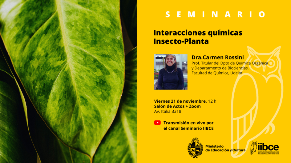 Gráfico promocional