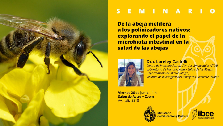 Seminario IIBCE Loreley Castelli 26 junio 2026