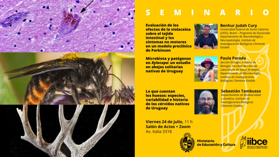 Seminario Institucional IIBCE 24 de julio
