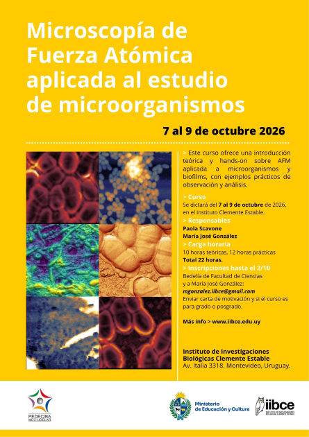 Curso Microscopía de Fuerza Atómica afiche