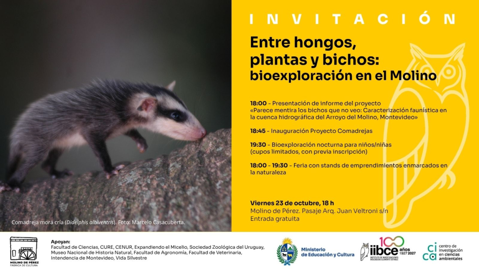 Entre hongos, plantas y bichos: bioexploración en el Molino