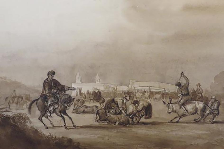 Campo Campo