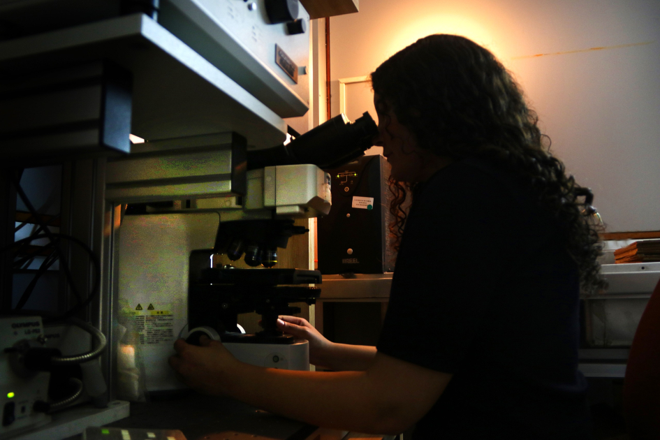 Katherina Selvaggi observando en el microscopio preparados de Clemente Estable Katherina Selvaggi observando en el microscopio preparados de Clemente Estable