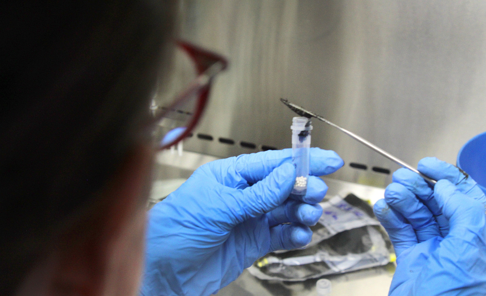 Trabajo en laboratorio con muestras colectadas en la expedición Uruguay Sub 200