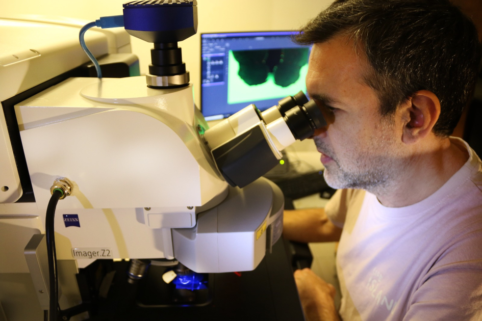 Microscopio confocal ZEISS LSM 980