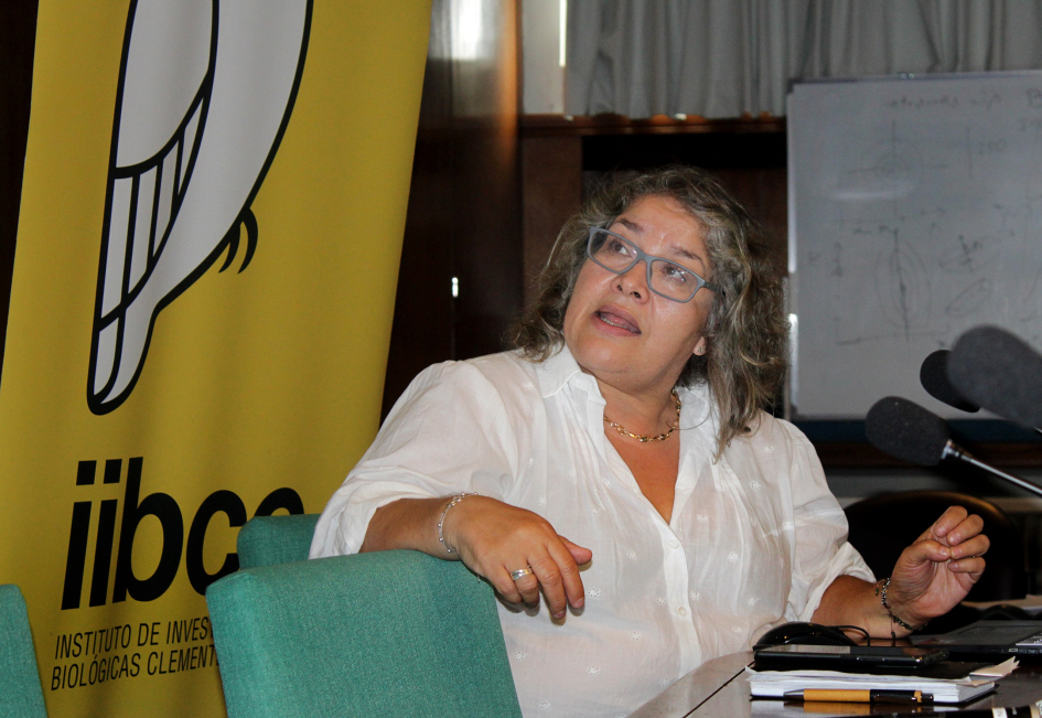 Silvia Olivera, presidenta del Consejo Directivo del IIBCE en la presentación de la Memoria anual