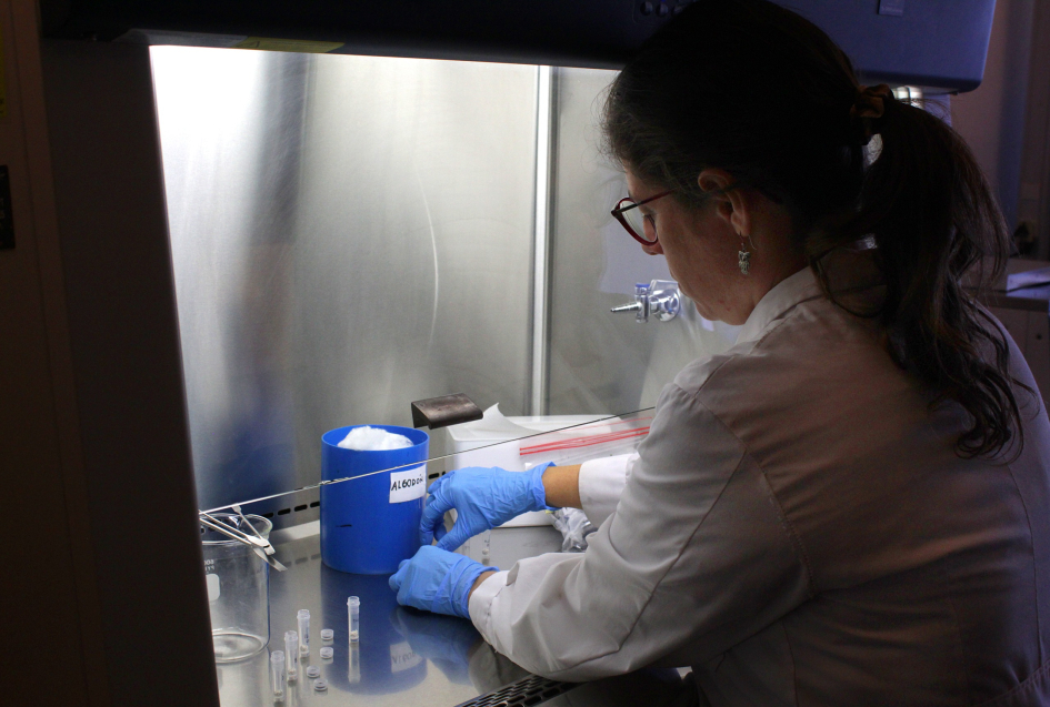 Trabajo en laboratorio con muestras colectadas en la expedición Uruguay Sub 200