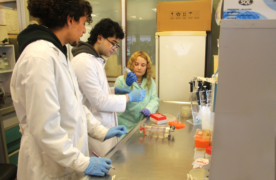 Estudiantes de la micropasantía en el laboratorio de Silvia Batista, junto a Felipe Castro. Estudiantes de la micropasantía en el laboratorio de Silvia Batista, junto a Felipe Castro.