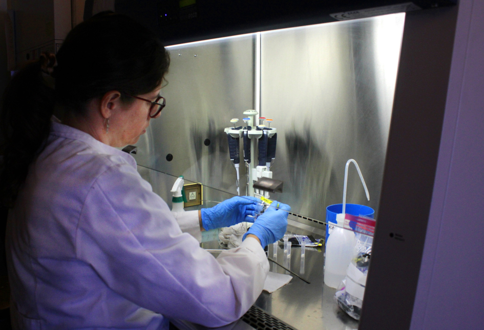 Trabajo en laboratorio con muestras colectadas en la expedición Uruguay Sub 200