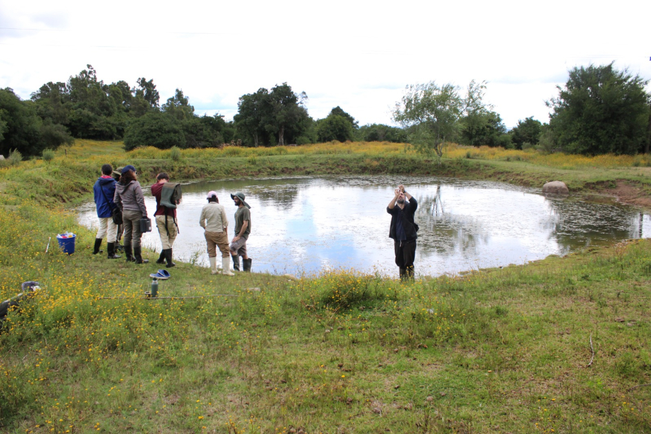 Tajamar explorado durante la campaña de campo