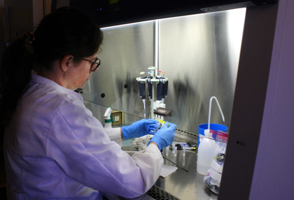Análisis de las muestras en el Instituto Clemente Estable