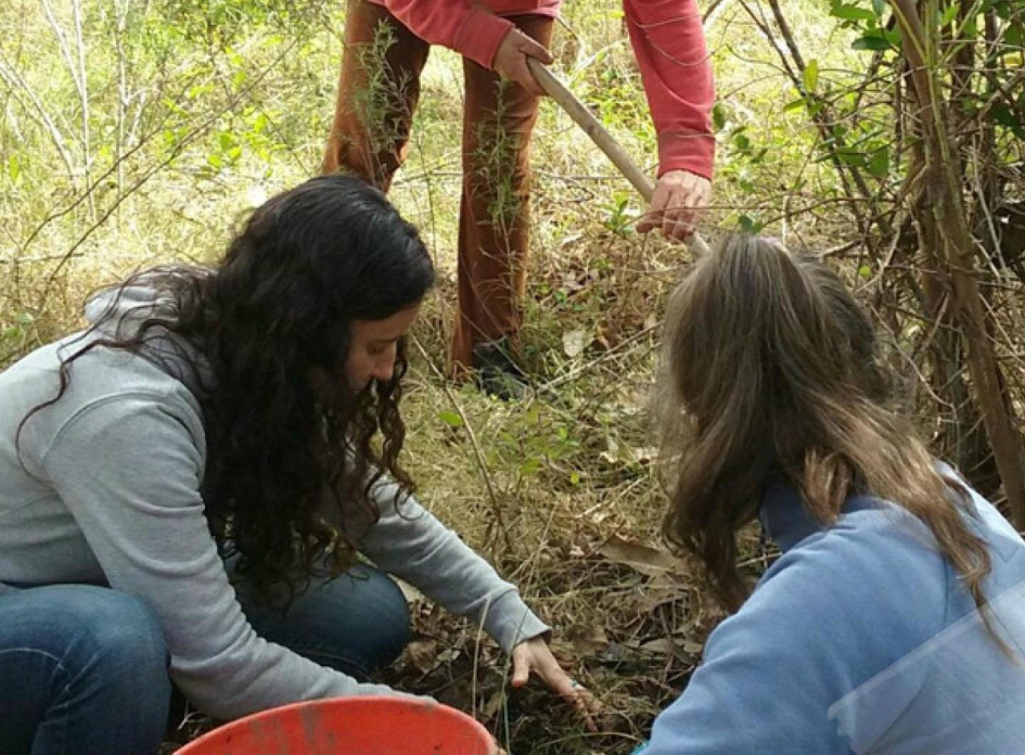 Trabajo de campo en proyectos similares anteriores.