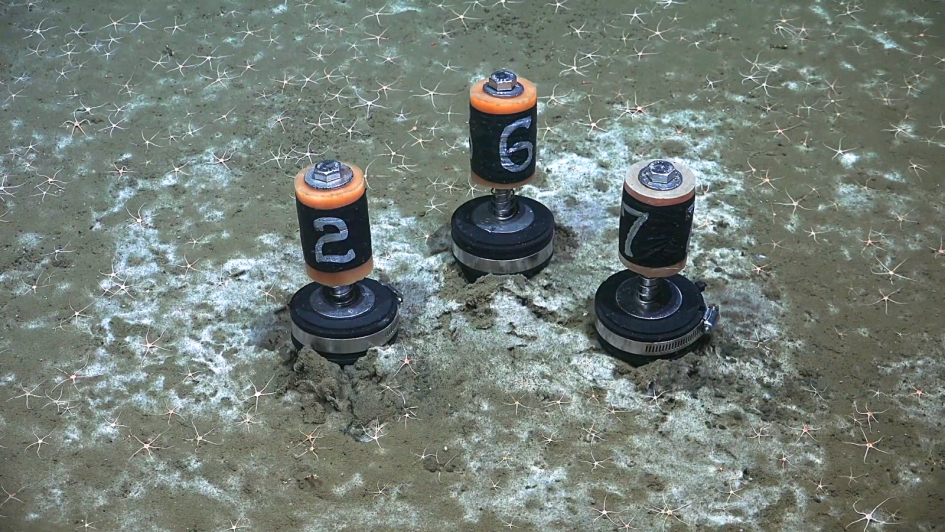 Expedición Uruguay Sub 200 en el fondo del océano uruguayo