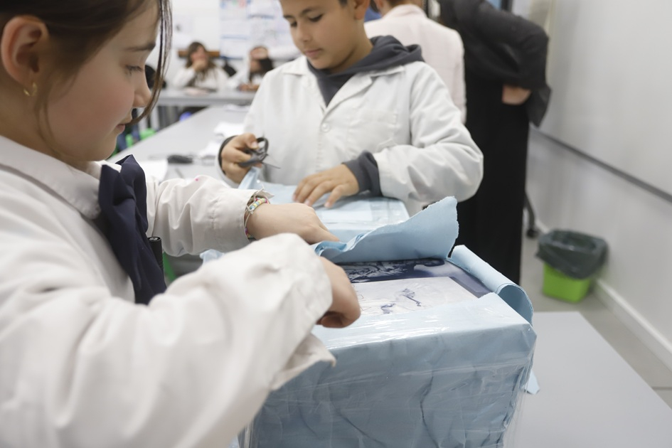Del museo al aula: el MNAV hace escuela Del museo al aula: el MNAV hace escuela