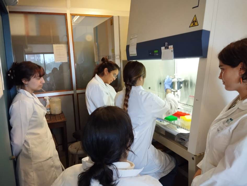 Investigadora Sofía Palacios en el laboratorio junto a estudiantes participantes del programa Investigadora Sofía Palacios en el laboratorio junto a estudiantes participantes del programa