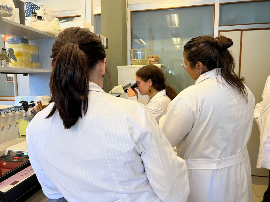 Investigadora Sofía Palacios en el laboratorio junto a estudiantes participantes del programa Investigadora Sofía Palacios en el laboratorio junto a estudiantes participantes del programa