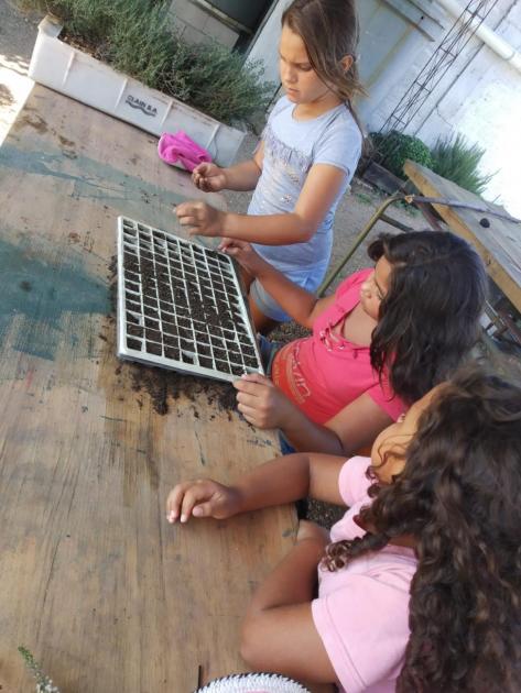 Huerta en Espacio MEC Oeste Verano en Espacios MEC