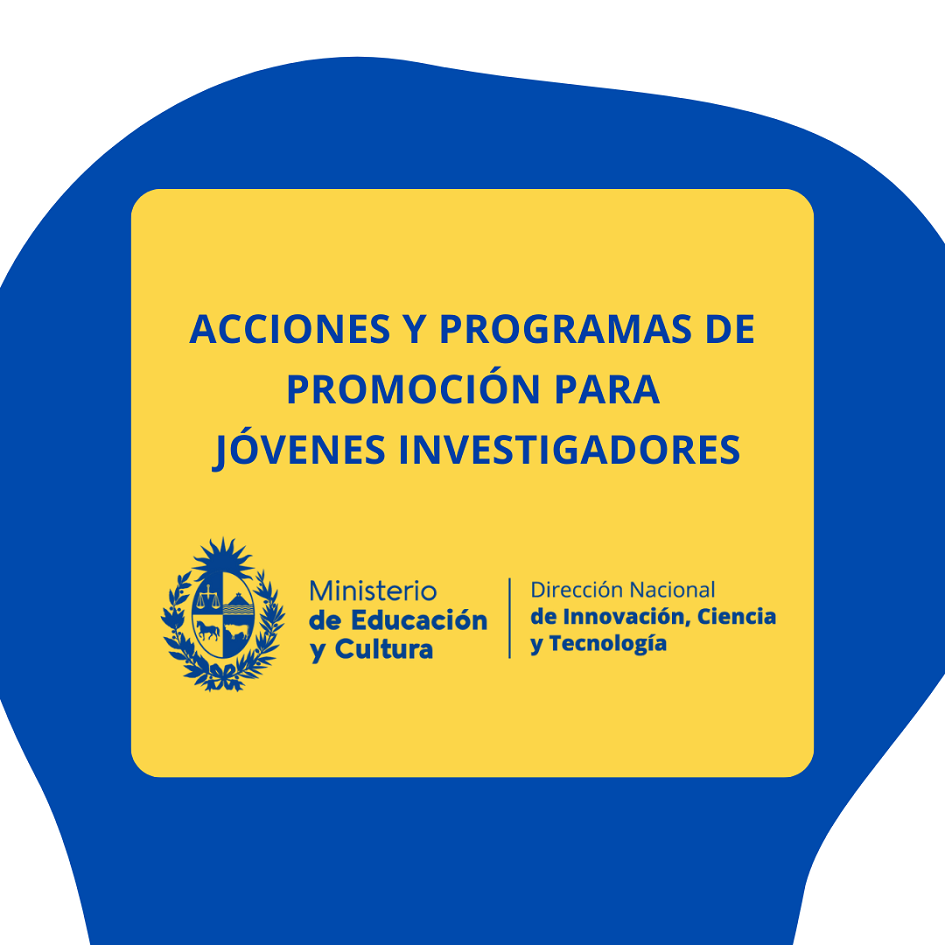 Acciones y programas de promoción para jóvenes investigadores Acciones y programas de promoción para jóvenes investigadores