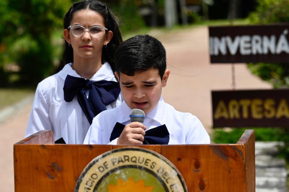 Niños Niños